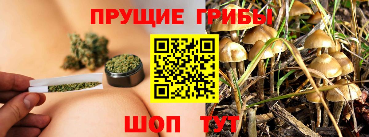 Псилоцибиновые грибы Psilocybe  Вход с VPN  Джанкой  Галлюциногенные грибы Magic Shrooms 