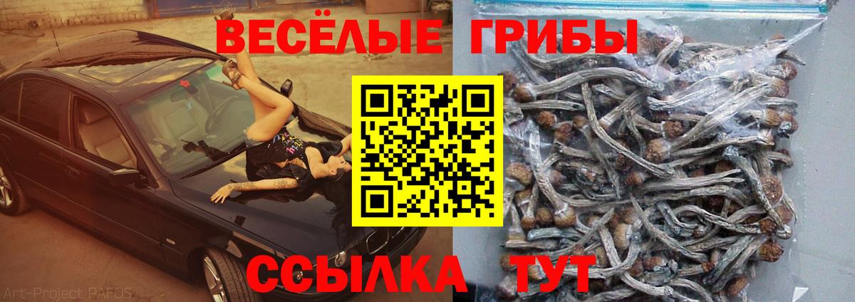 Галлюциногенные грибы мухоморы Джанкой